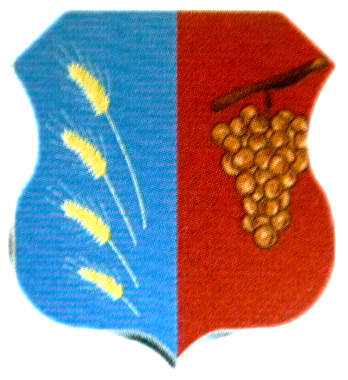 Logo Virac